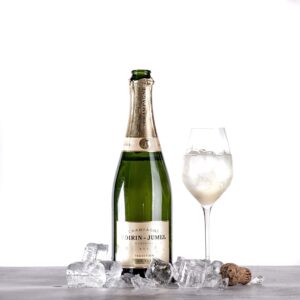 Champagne - de vigtigste punkter