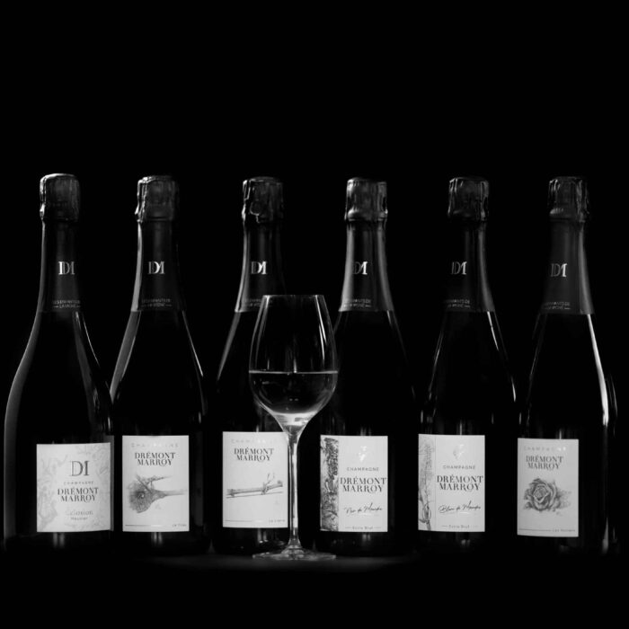 Drémont Marroy - Masterclass Box