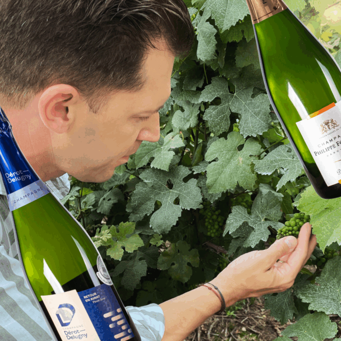 De sjældne druer-boxen