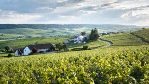 Biodynamisk champagne - Definition, filosofi og praksis