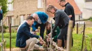 Jagten på det sjældne